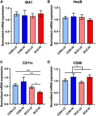 Distinct Phenotypes of Inflammation Associated Macrophages and Microglia in the Prefrontal Cortex Schizophrenia Compared to Controls